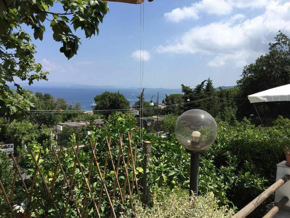 Lacco Ameno  Sweet Home מראה חיצוני תמונה